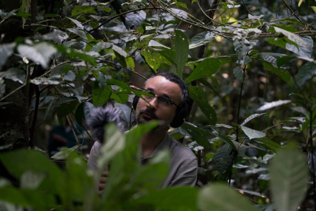 Michele Catanzaro recording chimps at the Budongo natural reserve, Uganda in 2019. Credit: Gianluca Battista.